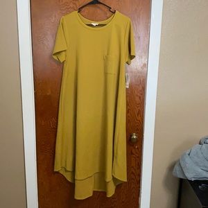 LulaRoe Carly size Large NWT